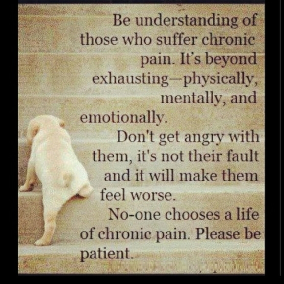 ⚜️ Calphalon Stainless 12" Skillet #1392 Frying Pan - Picture 5 of 15